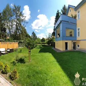 Apartment Pineapple Dresdner Heide Mit Garten, Dresden